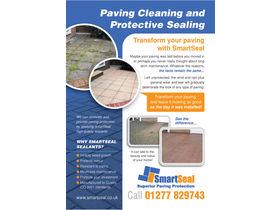 Marketing Flyers