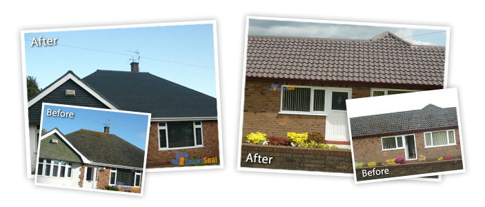 An example of our roof cleaning service